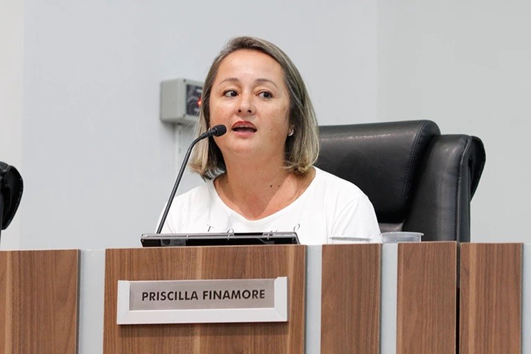 Vereadores aprovam proibição de fogos de artifício com barulho